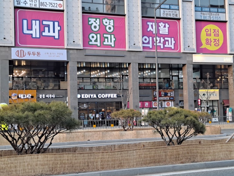 세종스러움 이미지