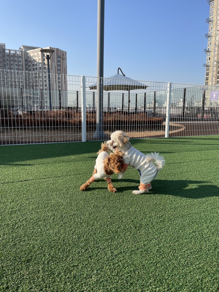 카페 두 레브 이미지