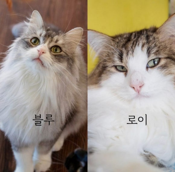블루사진관 이미지