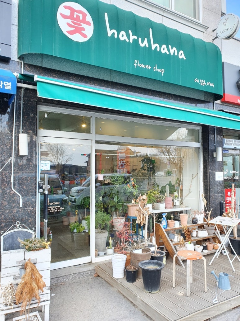 하루하나(HARUHANA) 이미지