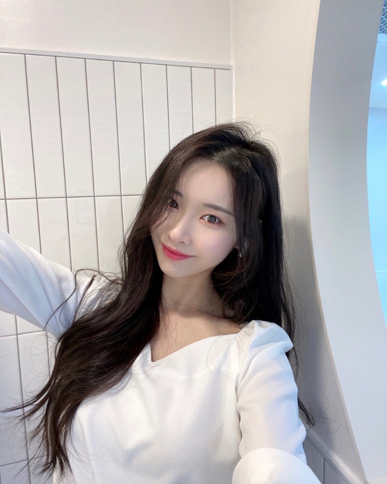 뮤즈 앤 포레 이미지