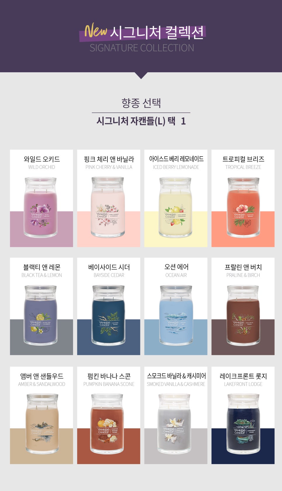 양키캔들진주점 이미지