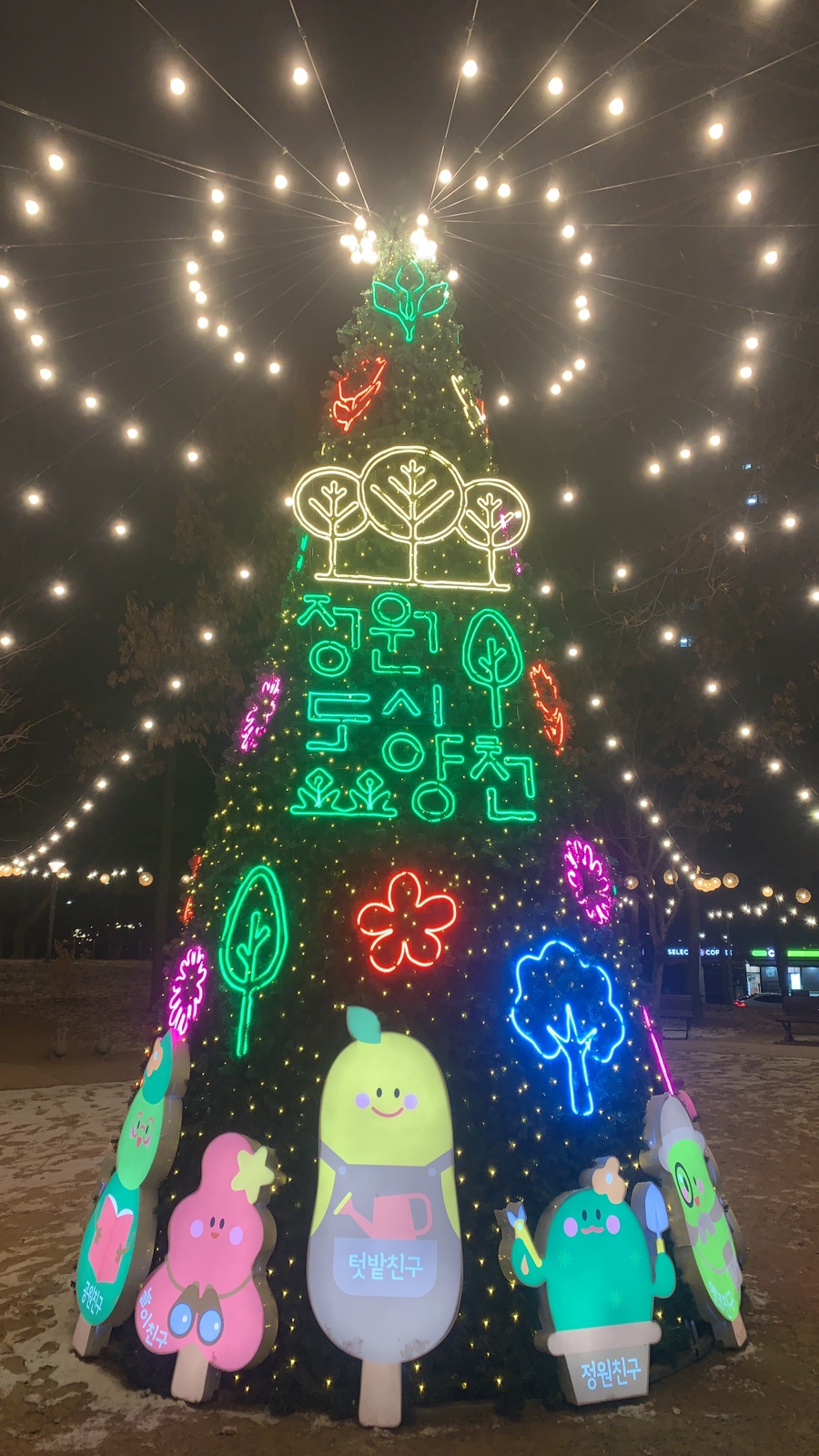 비체트리 이미지