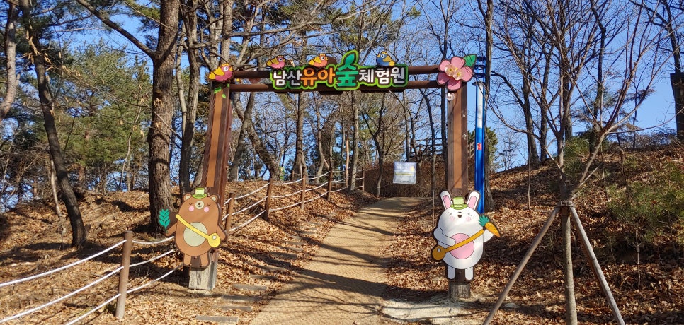 남산 유아숲체험원 이미지