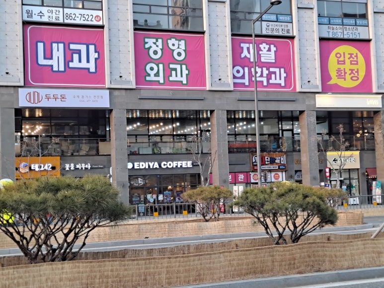 세종스러움 이미지