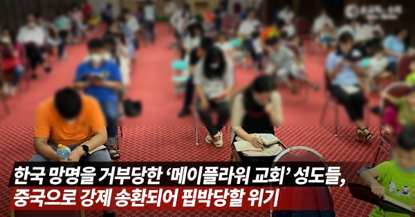 샬롬플라워 이미지