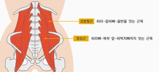 명품스트레칭 이미지