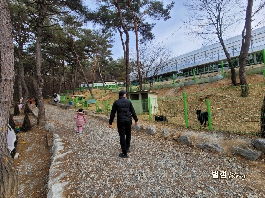 함께베리팜 이미지