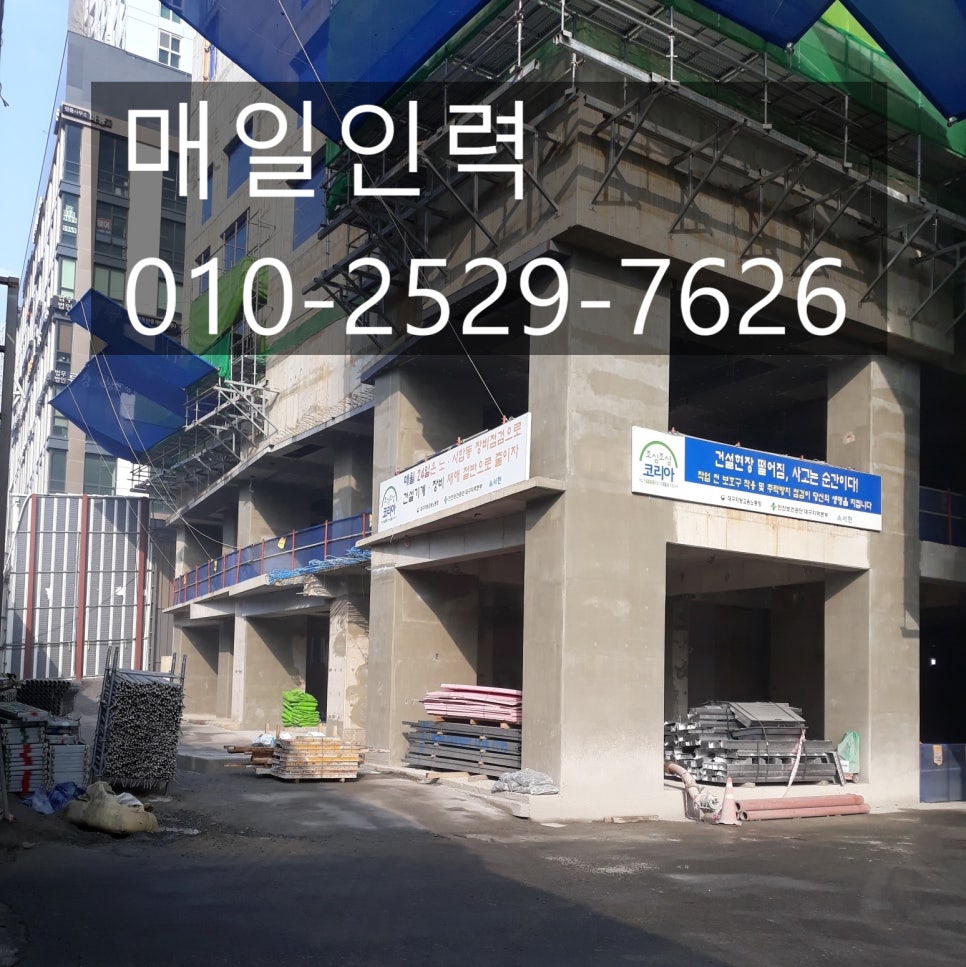 매일인력용역 이미지