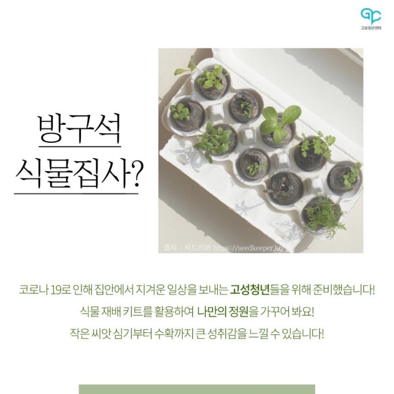 씨드(SeeD) 이미지
