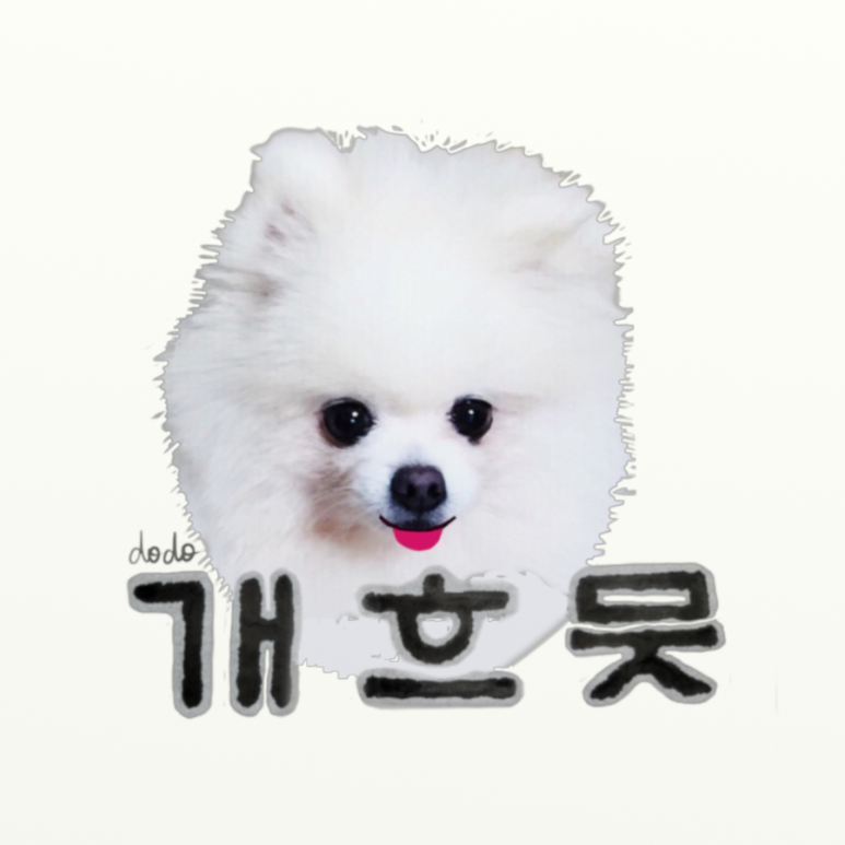 시간여행이야기 이미지