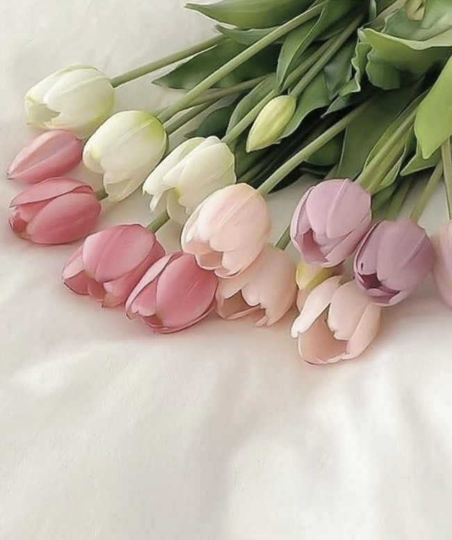 마레네일 이미지