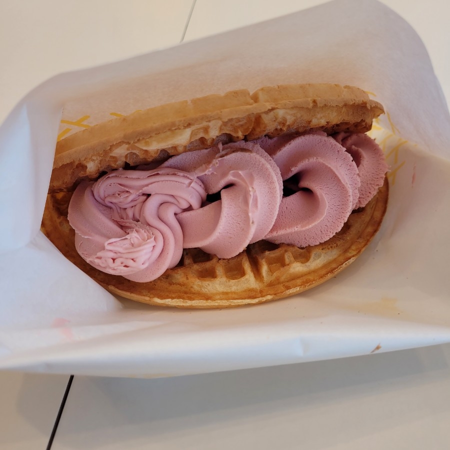 와플대학서산 이미지