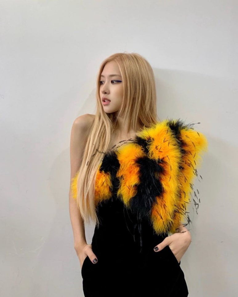 로지포지 이미지