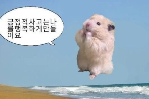오오에스 이미지