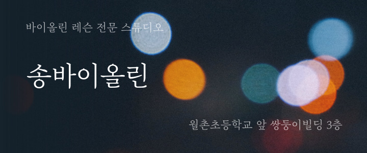 송바이올린 이미지