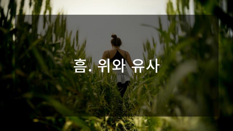 완전환경 이미지