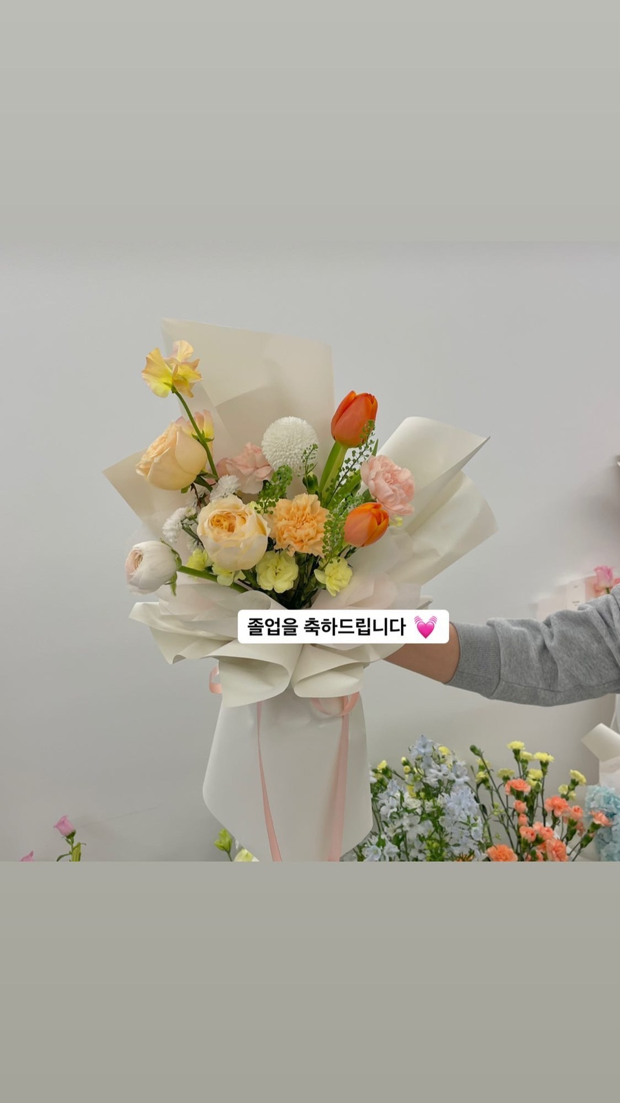 바이마이플레르 이미지