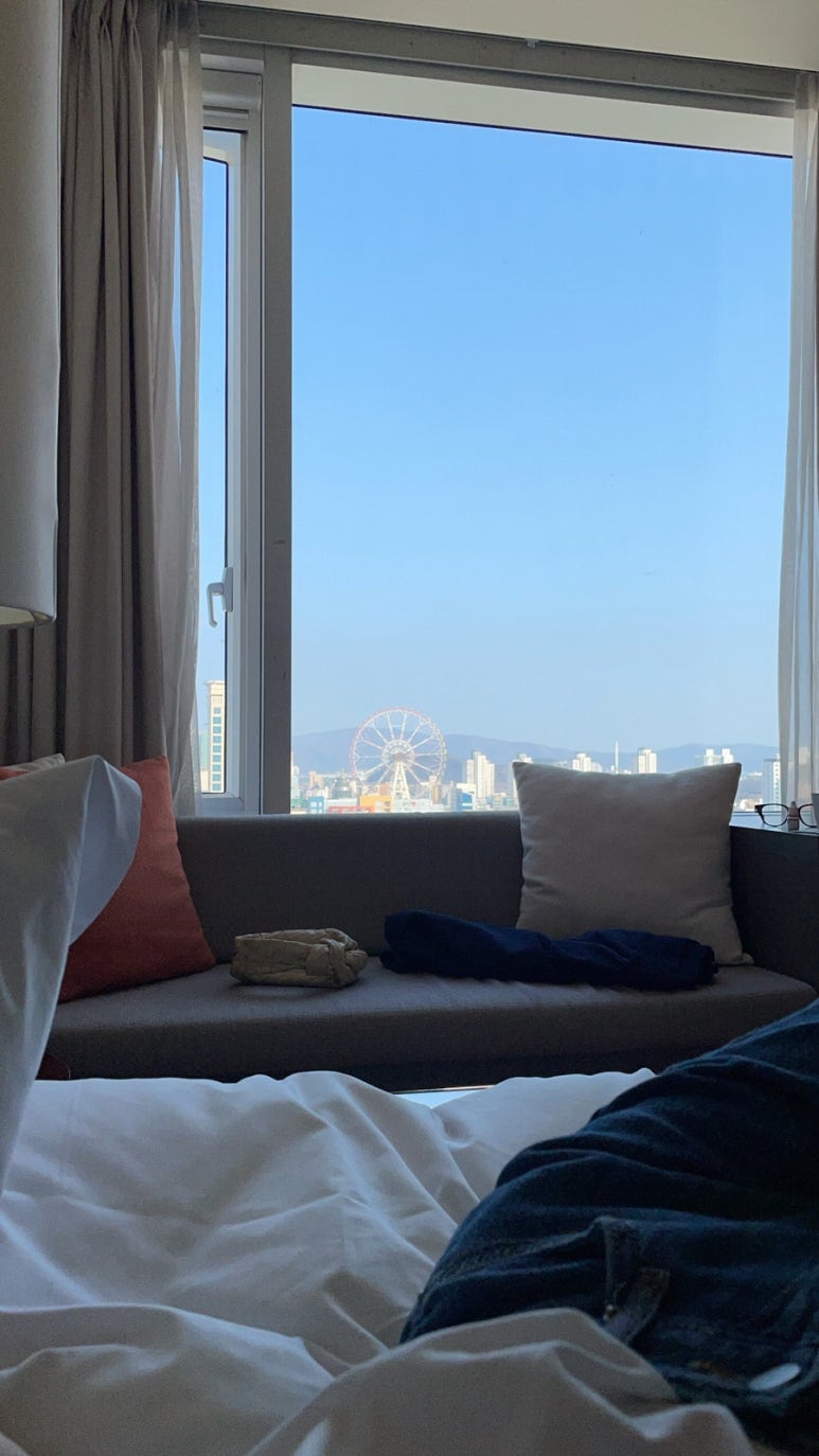 스테이로스터스 이미지