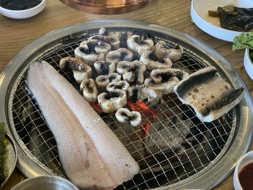 폭풍장어 이미지