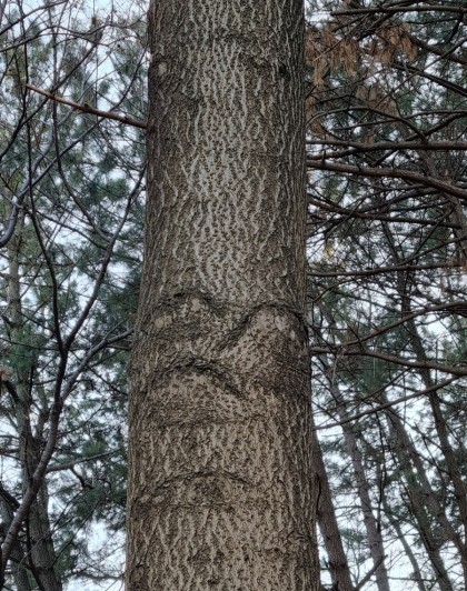 산과들과바람 이미지