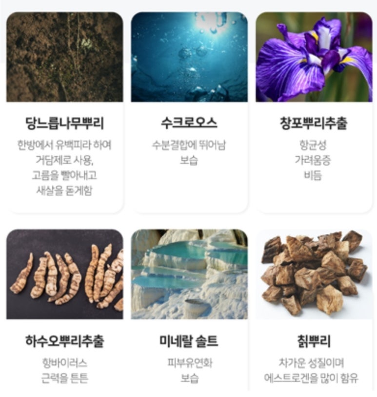 올가스킨 이미지