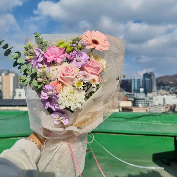 채송;화 이미지