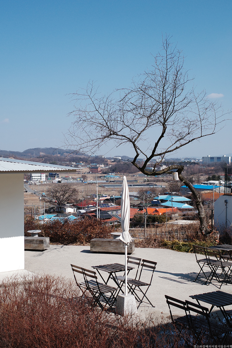 커피사네 이미지