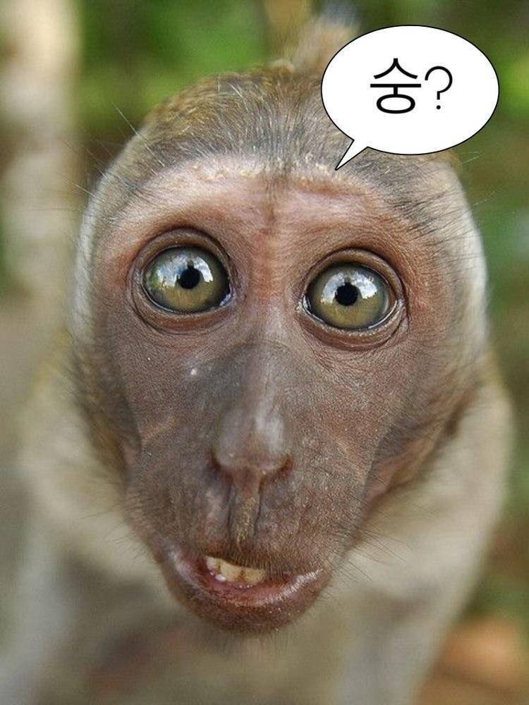 은바 이미지