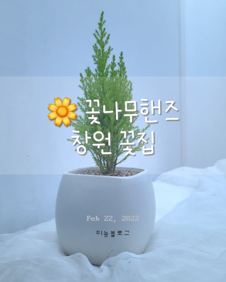 꽃나무핸즈 이미지