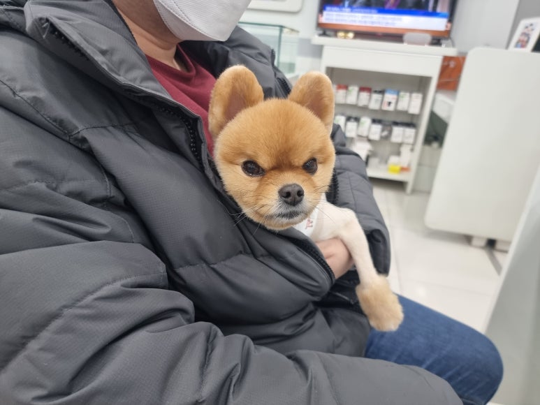 노아텔레콤 이미지