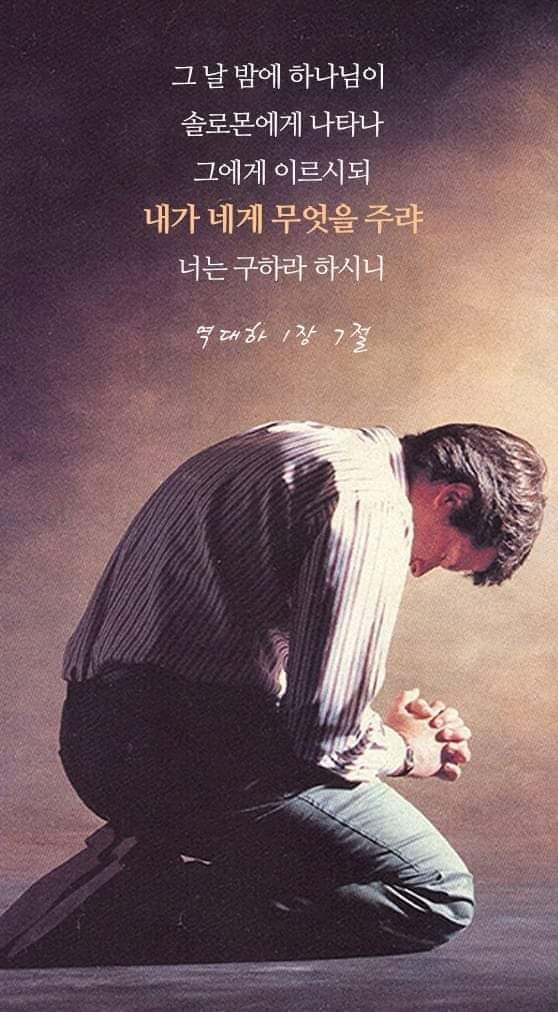참손가 이미지