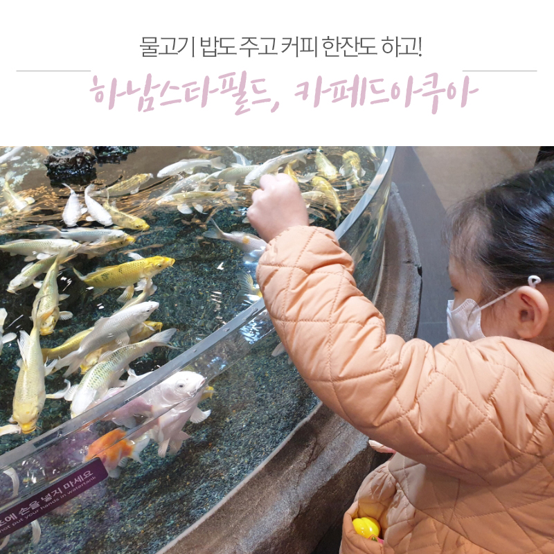 카페드아쿠아 이미지