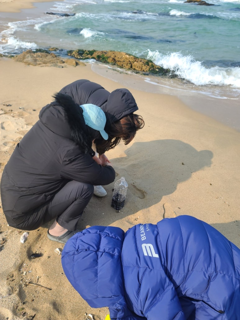 대진해수욕장 야영장 이미지