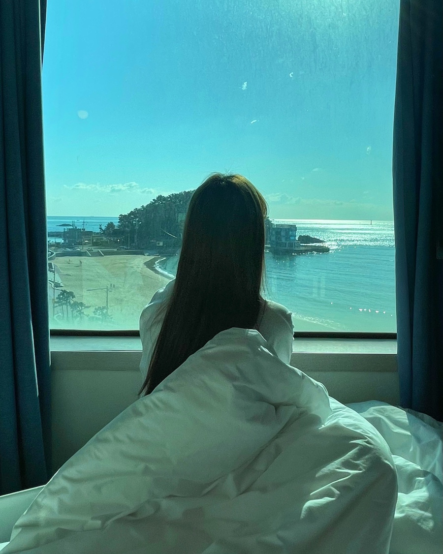 나무늘보호텔 이미지