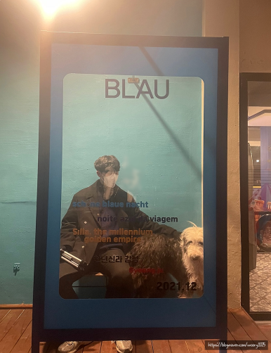 BLAU(블라우) 이미지
