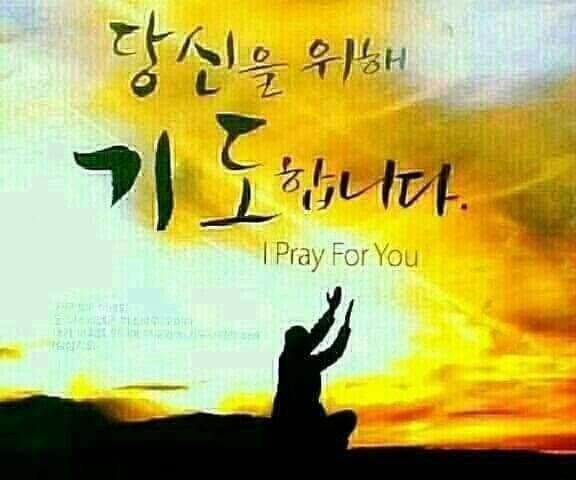 참손가 이미지