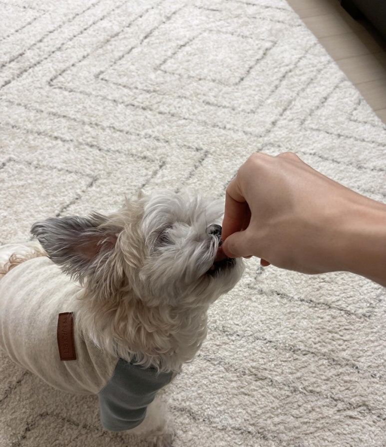 카페스테이지 이미지