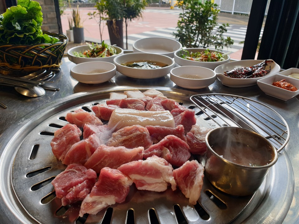 섬돼지 이미지