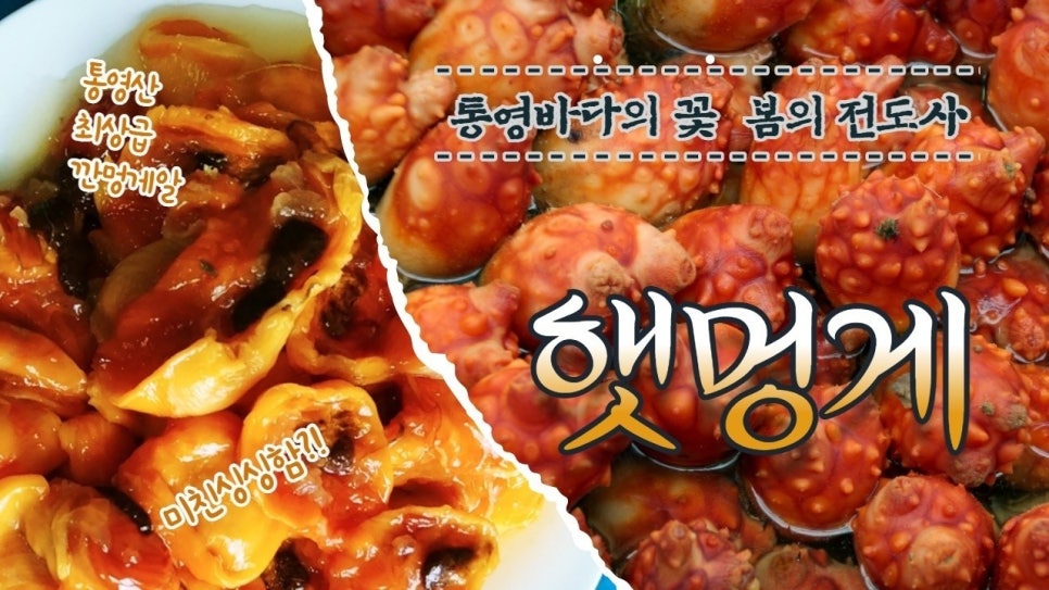 육해공 농수산 이미지