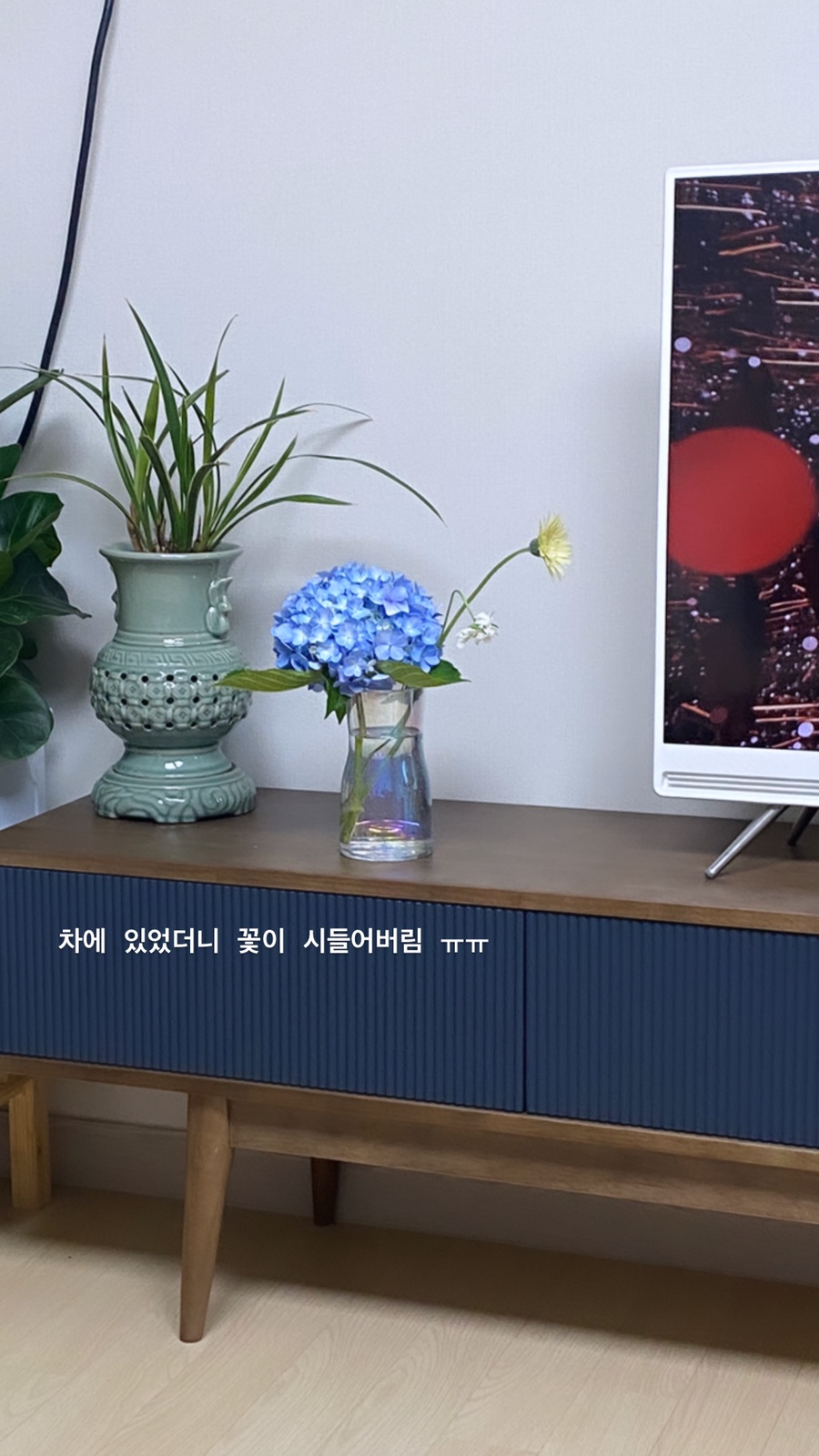 라베일르 이미지