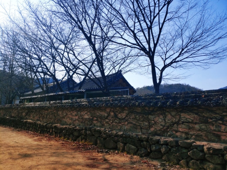 마호네일 이미지