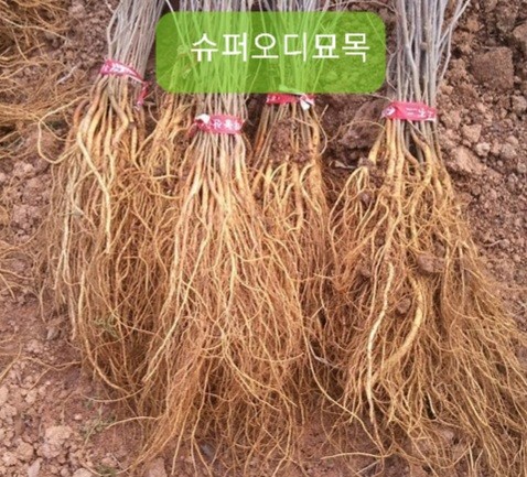 군위슈퍼 이미지
