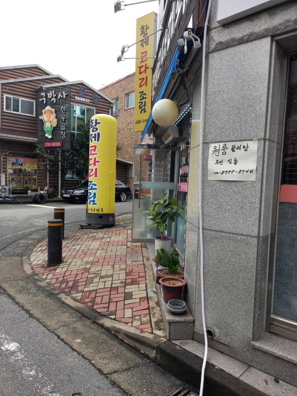황제코다리 이미지