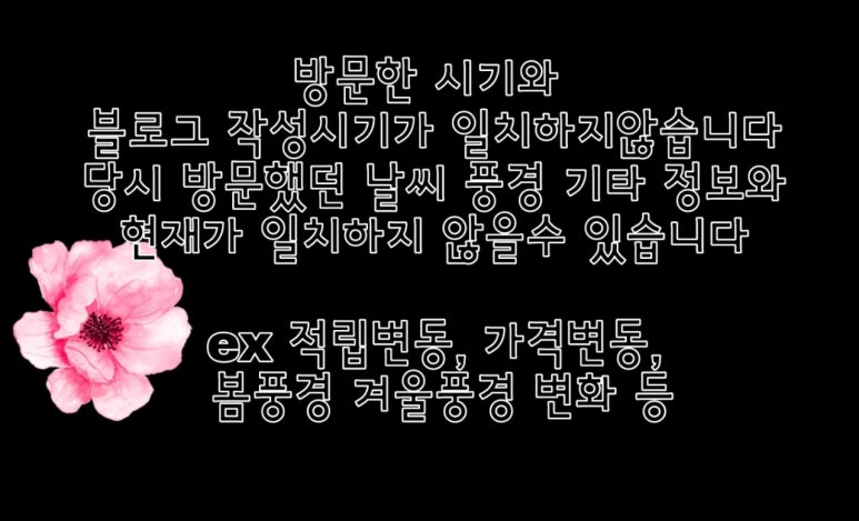 라비앙플라워 이미지