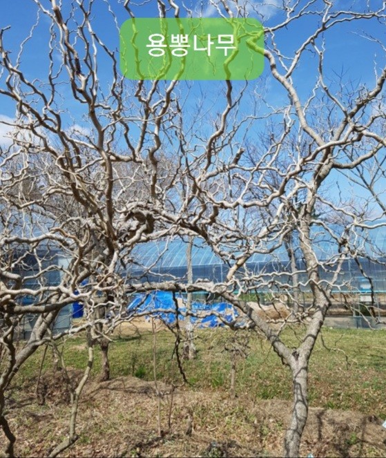 순창슈퍼 이미지