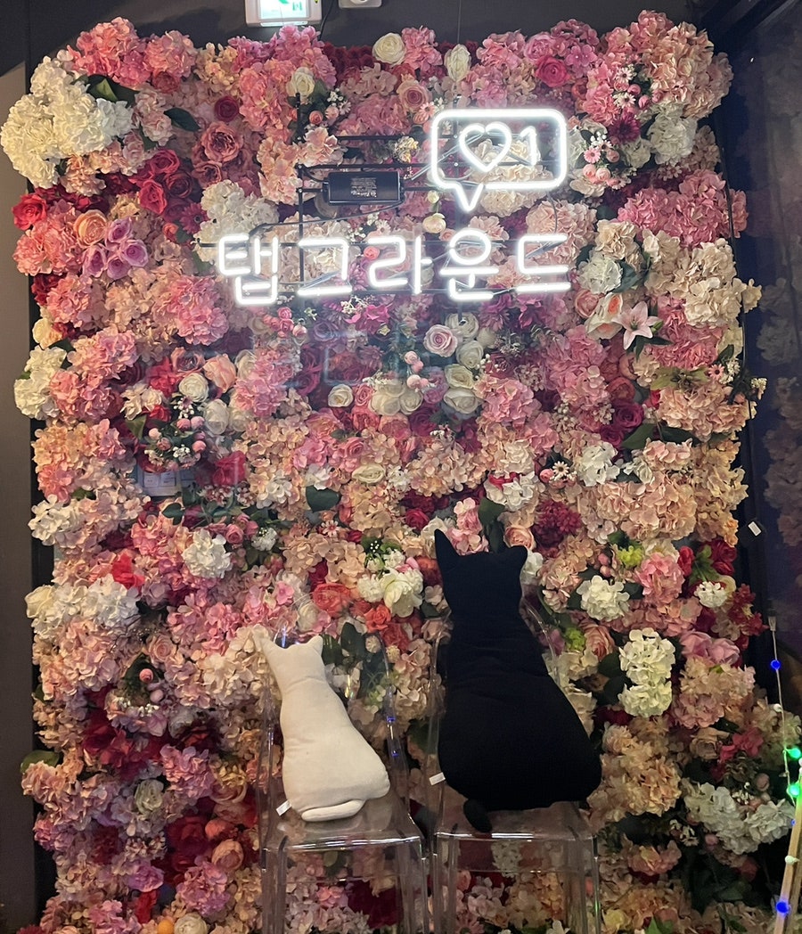 탭그라운드 이미지