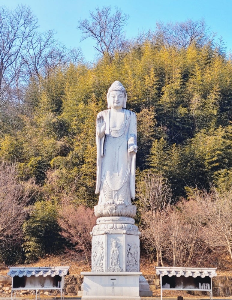 마호네일 이미지