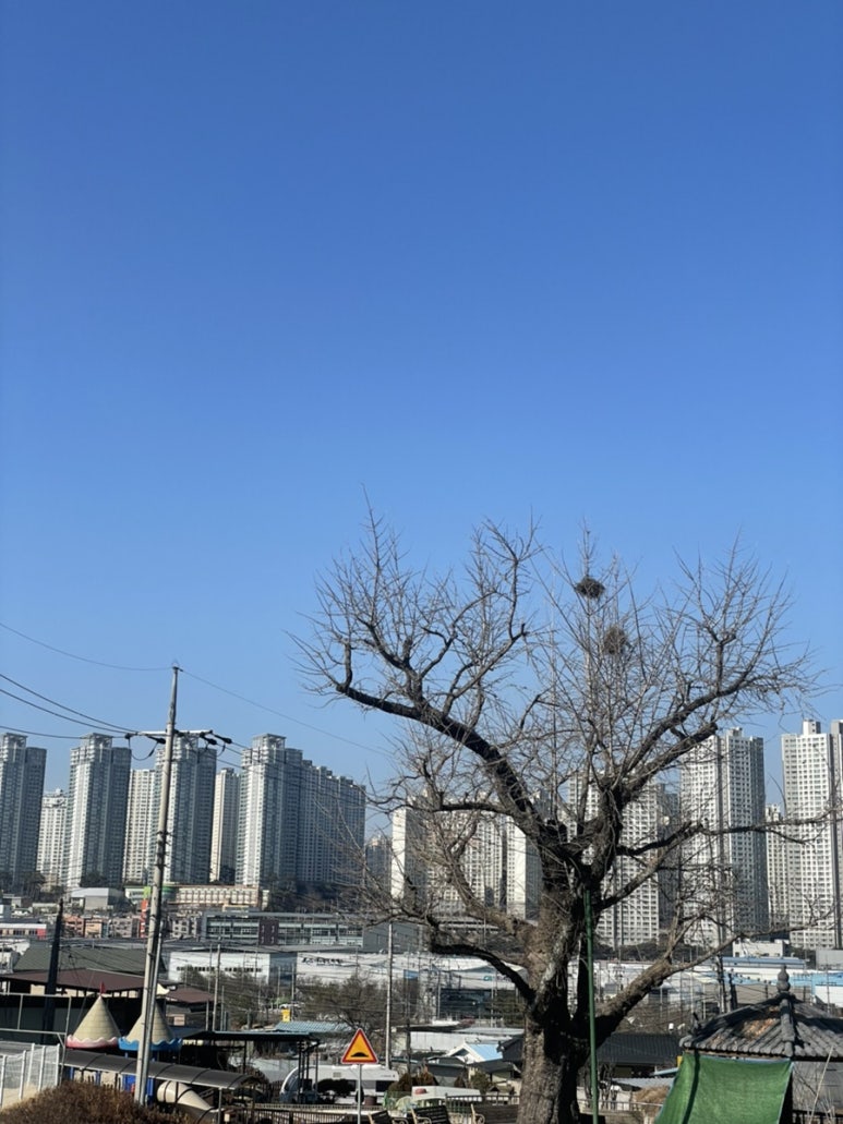 데꼴로레스주 이미지
