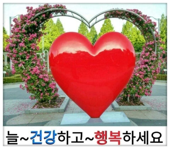 젊은미소 이미지